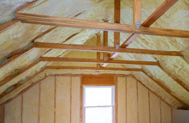 Best Insulation Contractors for Homes  in Santa Rita Ranch, TX