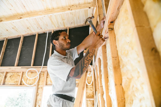 Best Residential Insulation Services  in Santa Rita Ranch, TX