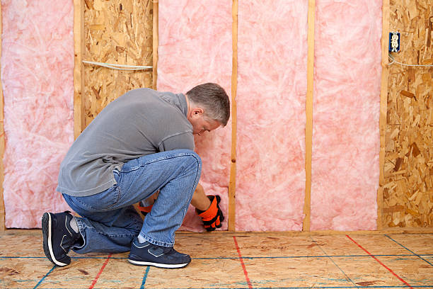 Best Spray Foam Insulation  in Santa Rita Ranch, TX
