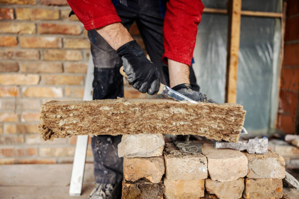 Best Cellulose Insulation  in Santa Rita Ranch, TX