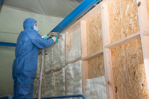 Best Garage Insulation Installation  in Santa Rita Ranch, TX